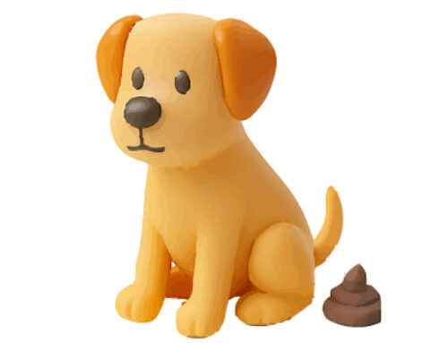 Excrementos mascotas